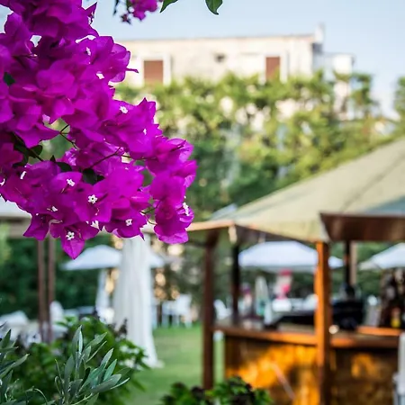 Athanasia's At Rafaella