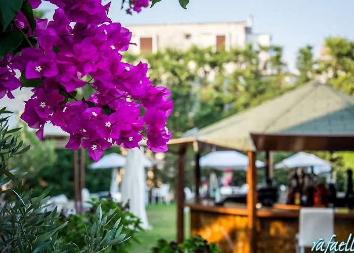 Athanasia's At Rafaella