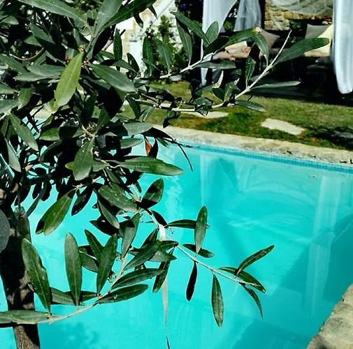 Athanasia's At Rafaella * Kokkónion